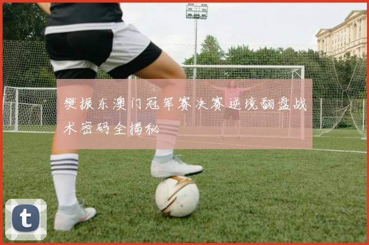 樊振东澳门冠军赛决赛逆境翻盘战术密码全揭秘