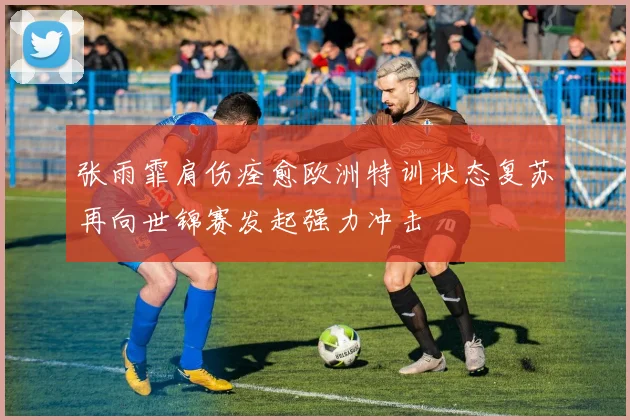 张雨霏肩伤痊愈欧洲特训状态复苏再向世锦赛发起强力冲击
