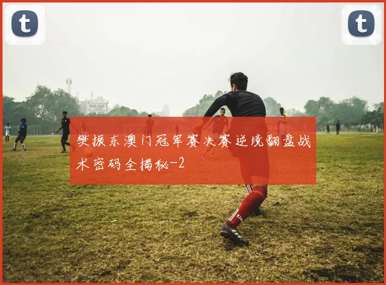 樊振东澳门冠军赛决赛逆境翻盘战术密码全揭秘